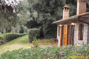 woodcutter house 1